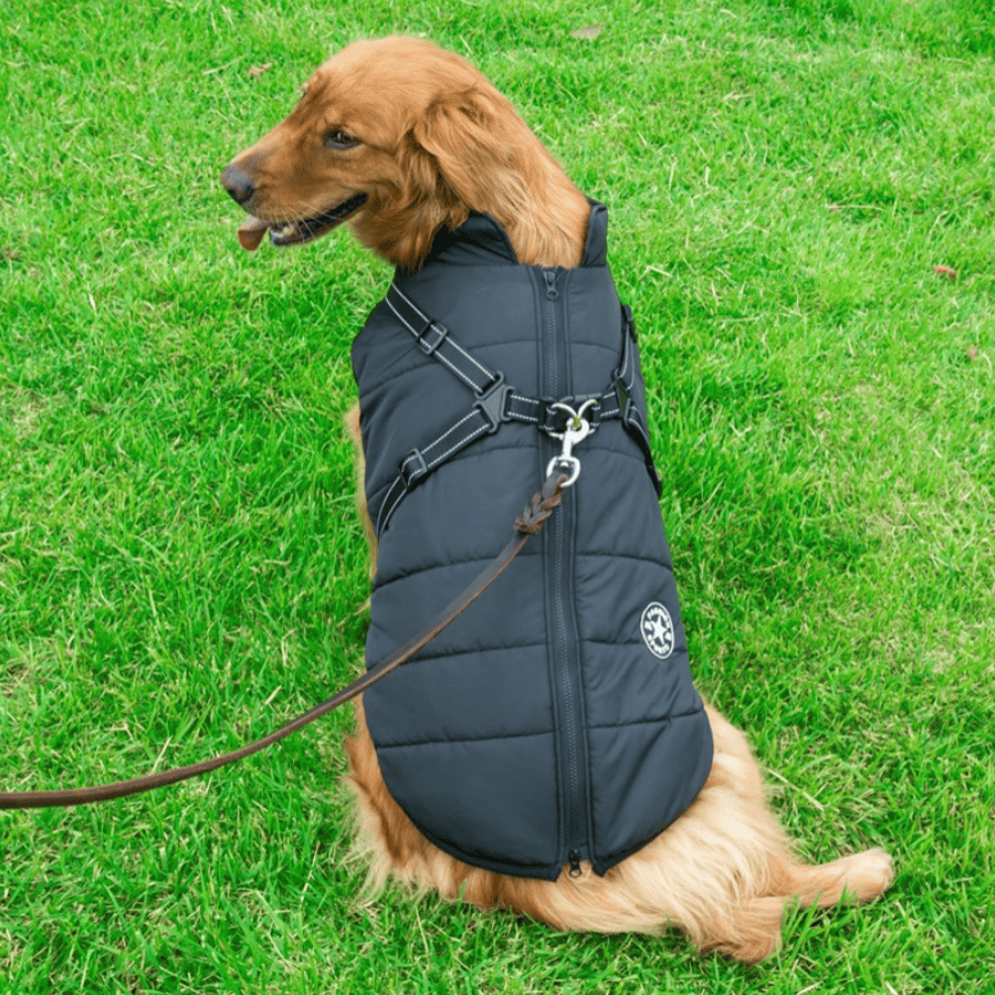 Dog Winter Jacket