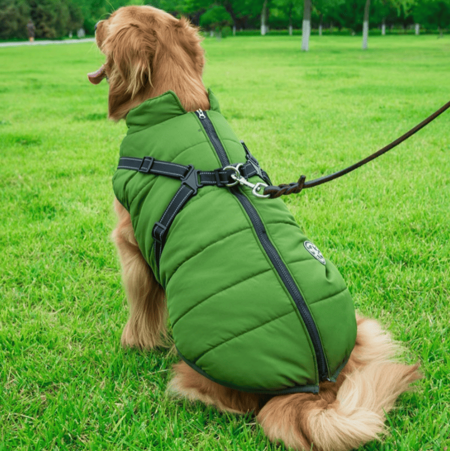 Dog Winter Jacket