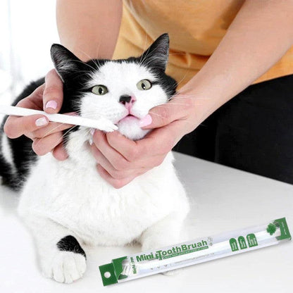 Cat toothbrush - MyPetLocation 