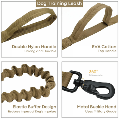 Dog training leash