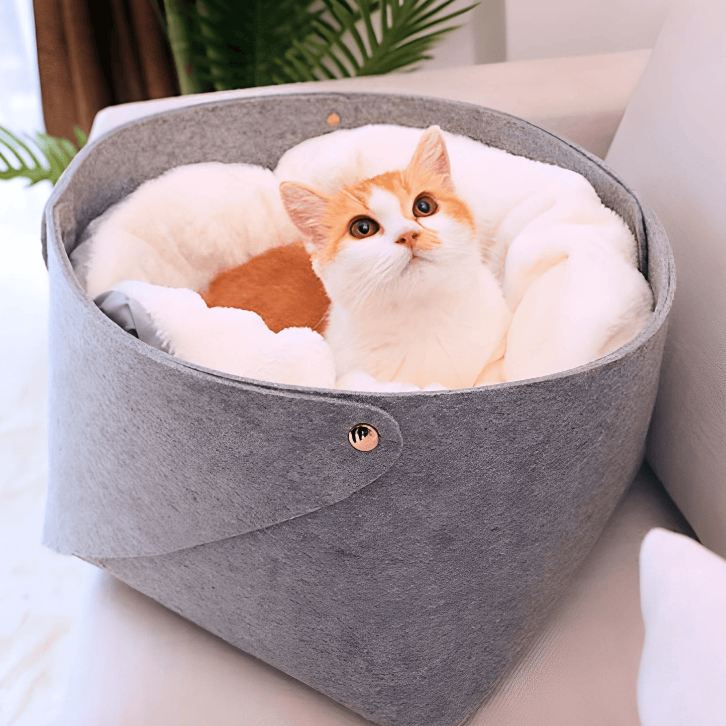 Sleeping cat nest