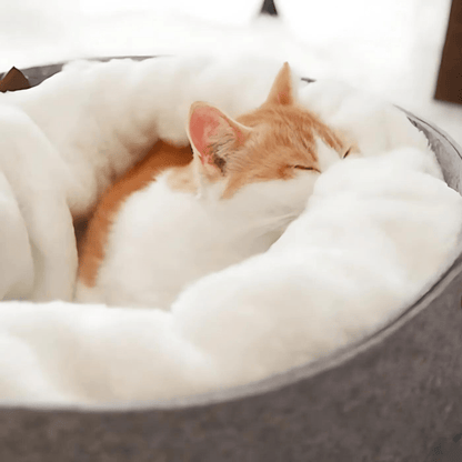 Sleeping cat nest