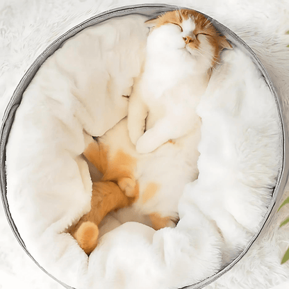 Sleeping cat nest