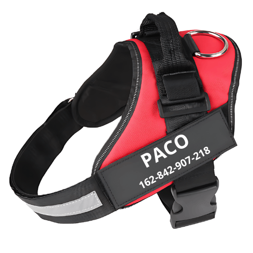 Personalised dog harness