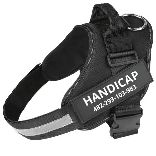 Personalised dog harness