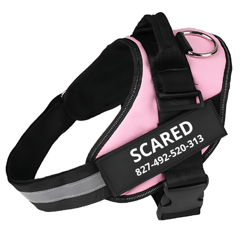 Personalised dog harness