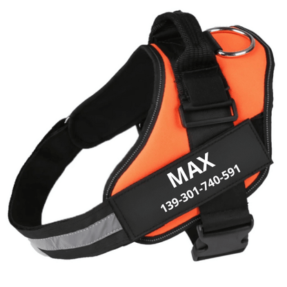 Personalised dog harness