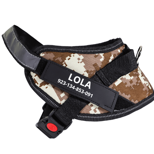 Personalised dog harness