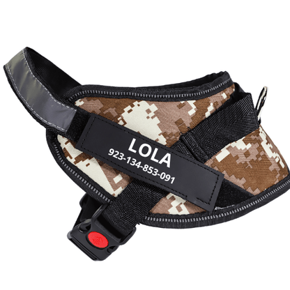 Personalised dog harness