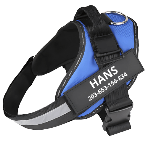 Personalised dog harness