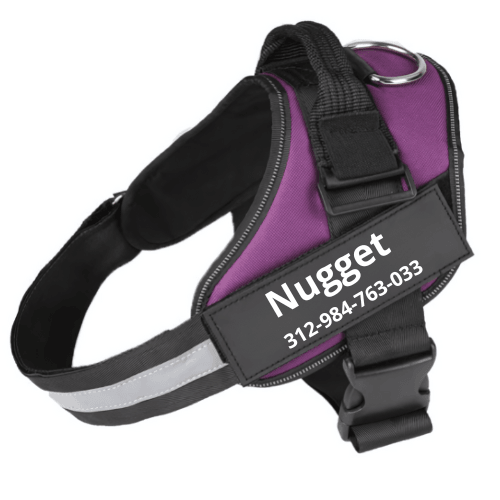 Personalised dog harness