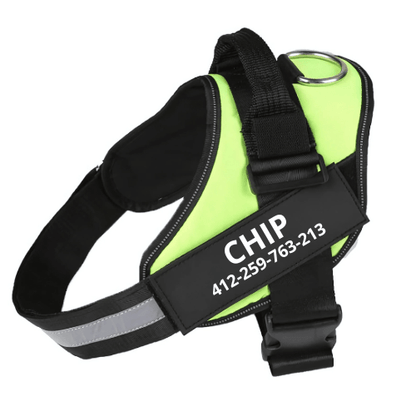 Personalised dog harness