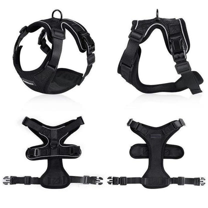 MyPetLocation™ Adjustable Cat Harness - MyPetLocation 