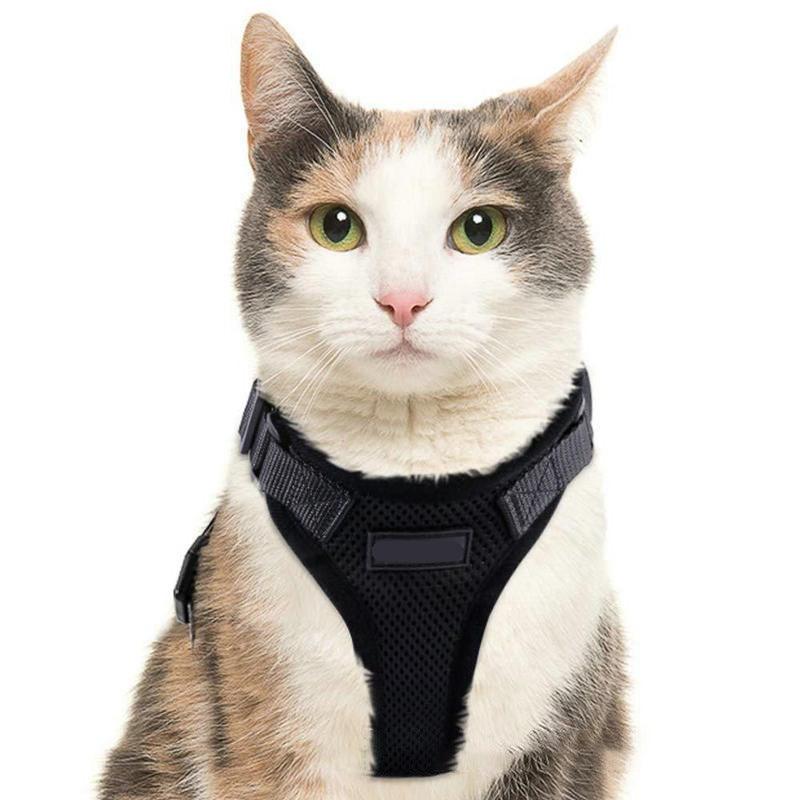 MyPetLocation™ Adjustable Cat Harness - MyPetLocation 