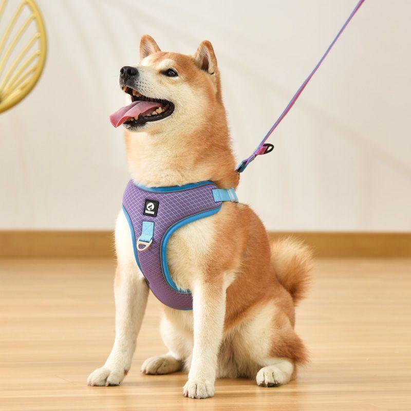 Soft Dog Harness - MyPetLocation 